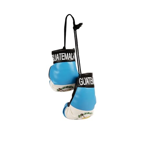 Mini guantes de boxeo colgantes para el espejo del coche con diseño de bandera