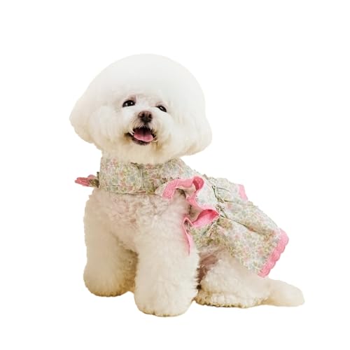 yWoolly Pet in stylez  n[lXZbg  hbOEFA (M, t[ sN)