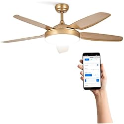 CREATE / WINDLIGHT FLAT DC/Ventilador techo con luz motor DC oro/Silencioso, temporizador, con WIFI