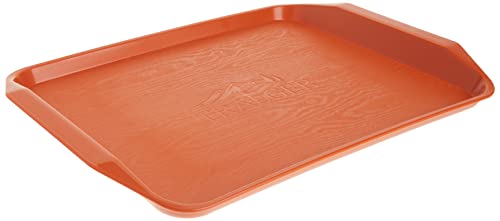 Traeger Grills BAC426 BBQ Tray Grill Accessories