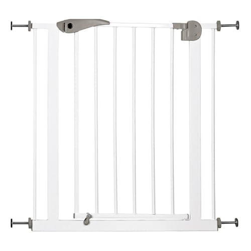 How To Keep Your Dog From Jumping Your Fence