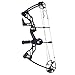 Southland Archery Supply SAS Outrage 70 Lbs 31'' ATA Compound Bow (Black with Full Accessories in Carbon)