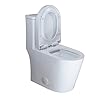 WinZo WZ5089WB Small Toilet One Piece Deisgn With Black Push Button Dual Flush,23 inch Length for Tiny Bathroom,White