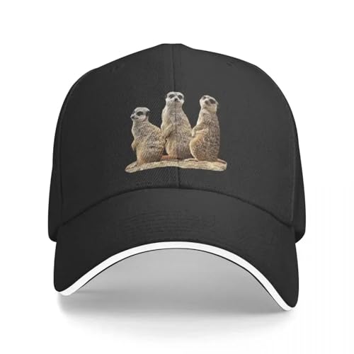 Casquettes de baseball anti-éblouissement ajustables avec surikat pour le camping