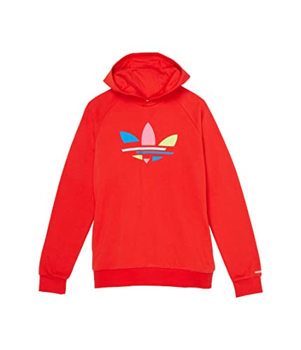 adidas Originals Unisex-Child Adicolor Hoodie