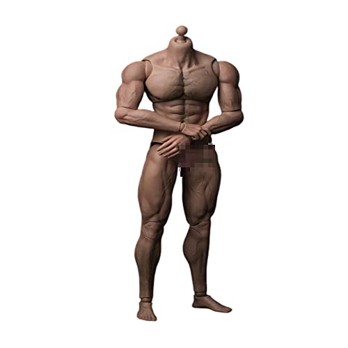 Jouet musculaire 1/6 Worldbox SJYT-001 parfait pour la photo de studio