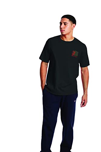 Champion Men's T-Shirt, Men's Crewneck Cotton Tee, Men's Mid-Weight T-Shirt