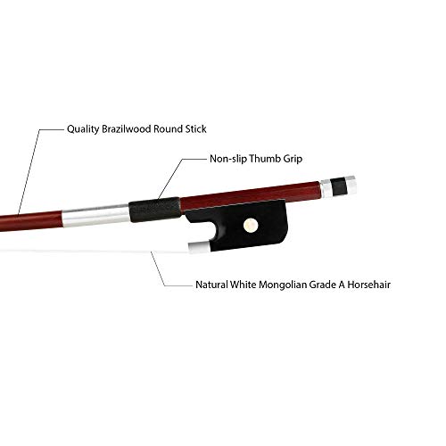 Forté Brazilwood French Style Upright Bass Bow - Round Stick, Half-Mounted Ebony Frog And Authentic Horsehair (1/4) #TOP4