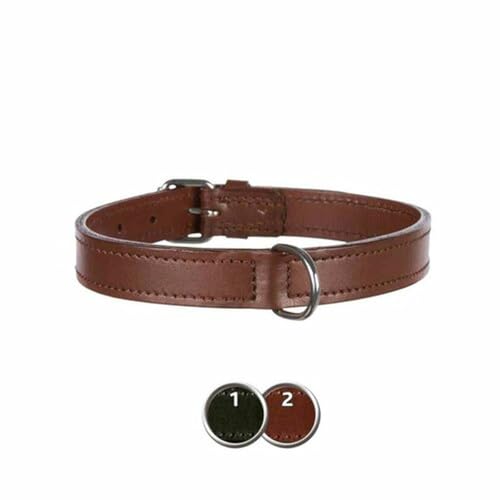 TRIXIE Active Halsband Leder Größe M: Halsumfang 39–46 cm/22 mm in schwarz - stilvolles Lederhalsband für mittelgroße Hunde, genäht und unterfüttert, 18251