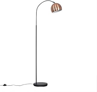 MiniSun Modern Designer Style Dark Grey Curved Stem Floor Lamp with a Brushed Copper Dome Shade - Complete with a 6w LED GLS Bulb [3000K Warm White]