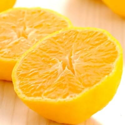 媛小春 1.5kg 愛媛県 八幡浜市 西宇和地区 希少な幻の柑橘 黄色いみかん(C25-357)