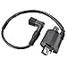Motorcycle Ignition Coil Assy 12V Compatible With Automotive Motorcycle Parts YFM400 Kodiak 400 2X4 YFM350 Big Bear 350 4X4 TTR110 TTR125 TW125 TTR125R 8K1927225B 1G724-97012