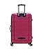 Rockland Melbourne Hardside Expandable Luggage with Spinner Wheels, Magenta, 2 Piece (20/28)