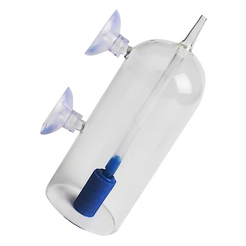 BESPORTBLE n_fKXJbv GAXg[Lbg ٗp N␅k