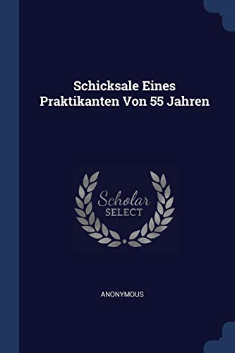 Preisvergleich Produktbild Schicksale Eines Praktikanten Von 55 Jahren