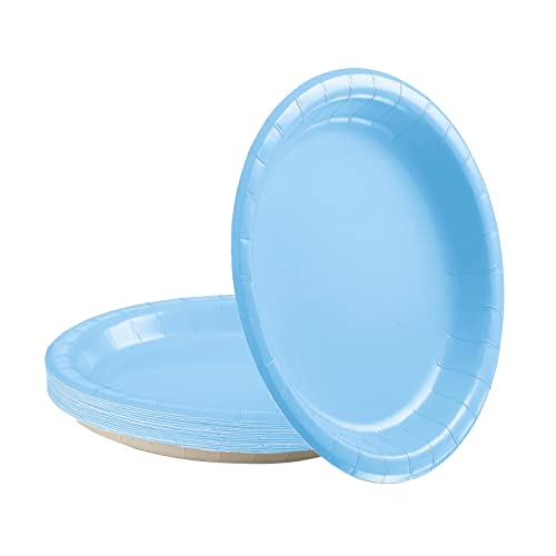 16 Stück Hellblau Pappteller,18CM Rund Teller Einwegteller Hellblau Einmalteller Einweg Geschirr,7inch Partyteller Einmalgeschirr Tisch Dekorationen Partygeschirr für Hochzeit Garten Geburtstag Party