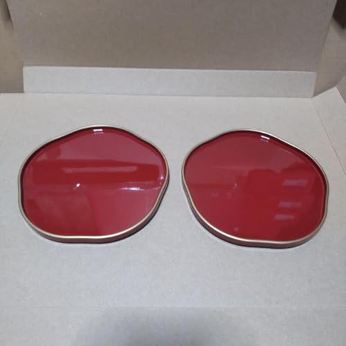 山中塗 もてなし皿 2枚組 合成漆器 日本製 2枚組 インテリア 食卓 トレー