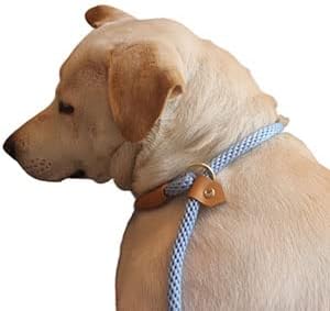Miniatura 7 de Correa de cuerda de paracaídas suave para perros grandes, fácil de usar, collar de plomo para perro combinado