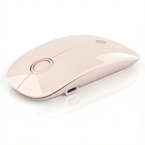 RAPIQUE R306 Pro Wireless Mouse, Dual Bluetooth & 2.4GHz, Connect Up to 3 Devices, Type-C...