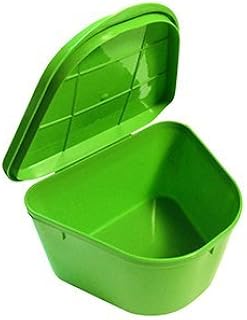 Medegen H980-92 Denture Cup with Hinged Lid, Green, 2