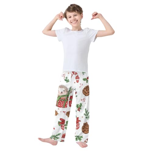 ZZXXB Hedgehog Candy Canes Boys Long Pants Soft Trousers Elastic Waist Kids Lounge Bottoms with Pockets S-XL3
