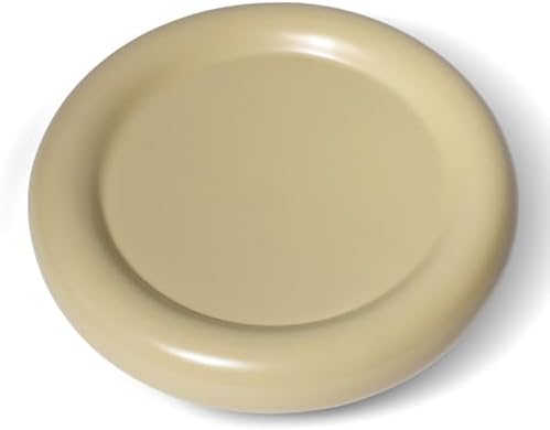Amazon.com | Generic Chubby Ceramic Minimalist Aesthetic Tableware ...
