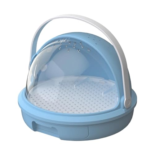 Stgfyxgs ঒ރeEA琅AȒPA eEP[WAړIfBXvC{bNX, 