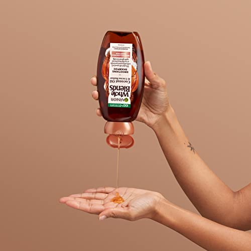 Garnier Whole Blends Coconut Oil & Cocoa Butter Smoothing Shampoo For Frizzy Hair, 22 Fl Oz, 2 Count (Packaging May Vary) #TOP7