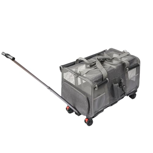 AOUTN|[^uȔLpobO/pobNpbN/ybgpg[obOBsɍœK ug[gBL⏬^ɍœKBLX^[t̃ybgLAtB2̃Rp[ggB_炩܂肽݉\BUbւ̖KɓKV_[obOB (O[