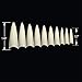 VIVACE 2PACK Natural/Clear Long Stiletto 500 Artificial Fake Gel Nail Tips (Total 1000Tips) 10Sizes For Nail Salon Nail Shop (28510/28512) (Long Stiletto)