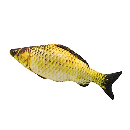Zerodis Modello Di Pesce Realistico In Plastica - Giocattolo Educativo E Decorazione Desktop, 24 Cm, Per Bambini, Collezionisti E Insegnanti