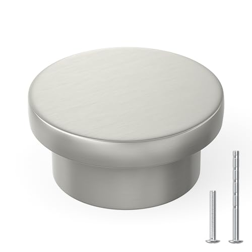 Goldenwarm 10 Stücke Schrankknöpfe Silber Möbelknöpfe Edelstahl Schubladenknöpfe Knauf für Schrank Türknöpfe Schrank Silber