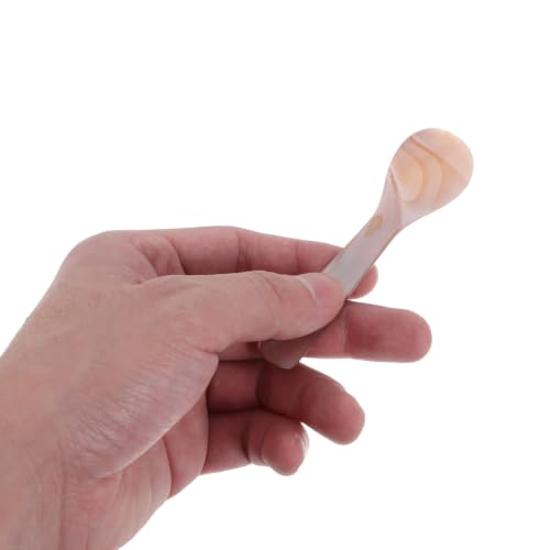 Miniatura 3 de Cucharas De Conchas Naturales Polarizadas Para Café Y Postres, Juego De 8 Piezas, Diseño Único Y Ligero, Ideal Para Servir Postres Y Mezclar Cócteles