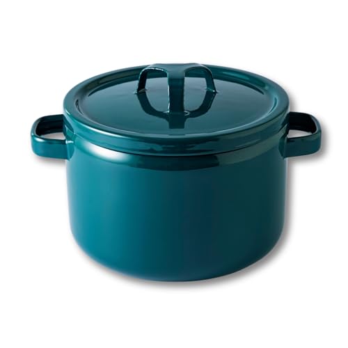 タクミジャパン(TakumiJAPAN) 両手鍋 22cm 深型 鉄緑 ホーロー IH対応 ガス対応 食洗機対応 5.6L 大きい パスタ 煮物 汚れにくい 緑 琺瑯 TKM-22DW.G