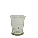 Planet + 100% Compostable PLA Laminated Hot Cup, 8-Ounce, 500-Count Case