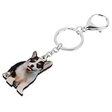 Schönes Paket: Idealer Anhänger für Schlüssel, Handtaschen, Rucksäcke, Handys, Autos oder andere wunderbare Gegenstände.