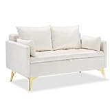 Love Seat Sofa with Storage Space