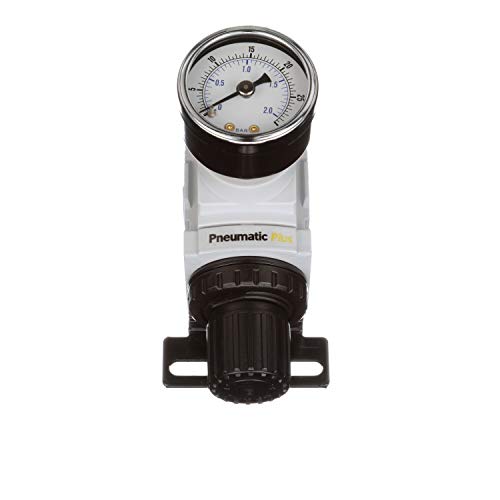 Pneumaticplus Ppr2-N02Bg-2 Miniature Air Pressure Regulator 1/4" Npt - Gauge, Bracket, Instrument Pressure (3-30 Psi) #TOP5
