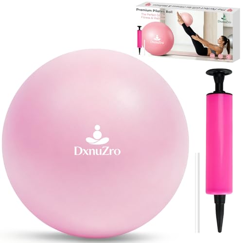 9" Pink Mini Pilates Ball with Pump