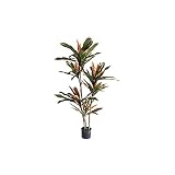 GTHTUHFD Künstliche Topfpflanze, Künstlicher Eisenbaum, Künstliche Topfkräuter-Zimmerpflanze, 160 cm Hoch,OneColor-B