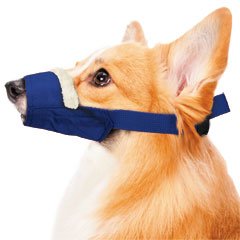 Focinheira para cães de nylon ajustável IKIMI Azul Tamanho M
