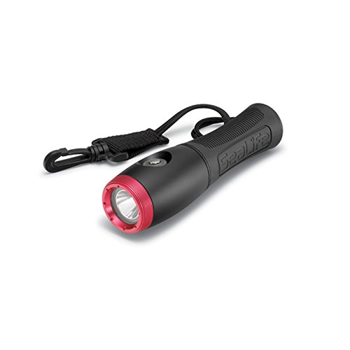 SeaLife SL650 Sea Dragon Mini 650F Flood UW Light Includes YS Adapters for Cold Shoe, GoPro, AquaPod & 2 CR123 Batteries