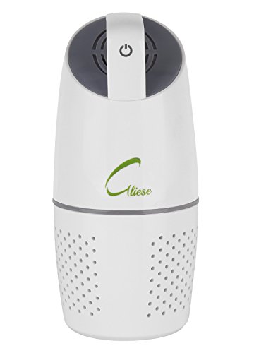 Gliese Elegant Car Air Purifier with Ioniser, HEPA Filter and Auto Restart