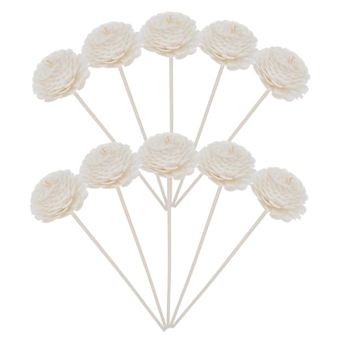 Anneome 10 ʑSe?^ԑXeBbN VRz FA}fBt[U[p\XeBbN ϋvƑ