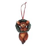 ✪Agradable a la vista: la apariencia es rica en color, mano de obra exquisita, combinando animales con el tema de la Navidad, muy adecuado para el uso navideño. Hay 6 tipos de nuestros colgantes de árboles de animales, a saber, oso negro, erizo, pájaro rojo, ciervo, ratón, alce, cada está hecho con cuidado.