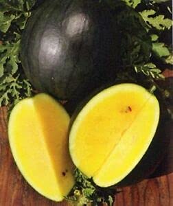 Golden Hills Farm Hybrid Watermelon Fruit Seed"Giant Yellow" Exotic 10+ Seeds (B0973HT9Q4) Amazon Price History, Amazon Price Tracker