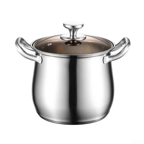 Eawfgtuw Pentola in acciaio inox con coperchio in vetro, 22 cm, pentola per zuppa di grande capacità, per piano cottura a induzione, cottura a vapore, tagliatelle per pasta stufata per 3-4 persone