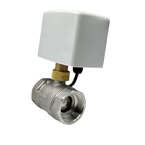 Vanne connectée 1-1/4 pouce en acier inoxydable pour contrôle 12VDC