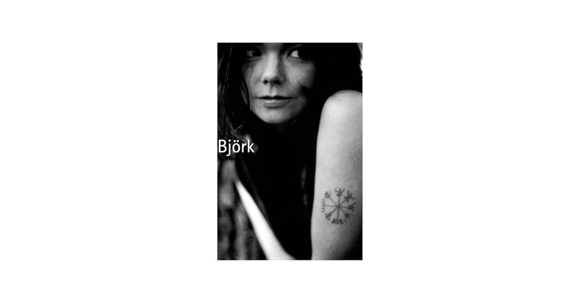 Amazon.com: Bjork Poster, Experimental Singer & Songwriter