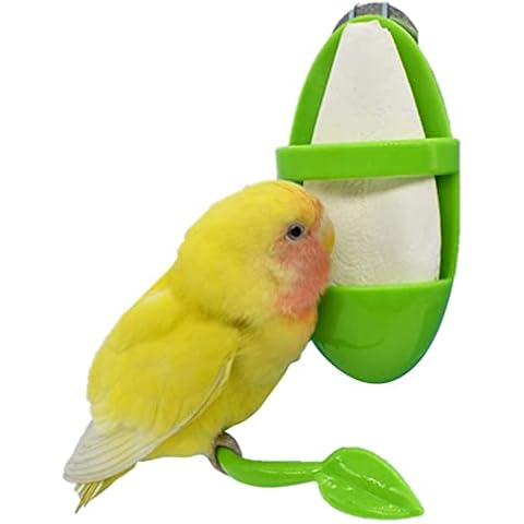 1 Piece Large Cuttlefish Bone With Holder, Plastic Cuttlebone Feeding Racks, Cage Bowl Stand Kit Suitable for Birds Parakeet Snails Turtles Tortoise Cover